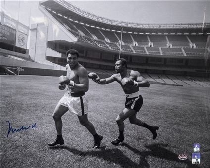 Muhammad Ali Signed 16 x 20 Photograph Of Ali & Norton In Yankee Stadium Outfield (PSA/DNA)